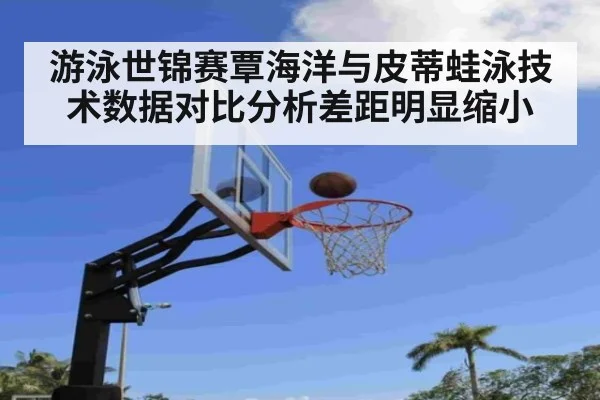 游泳世锦赛覃海洋与皮蒂蛙泳技术数据对比分析差距明显缩小